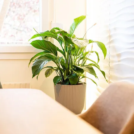 3 Cosy Terrasse Et Parking * Straatsburg